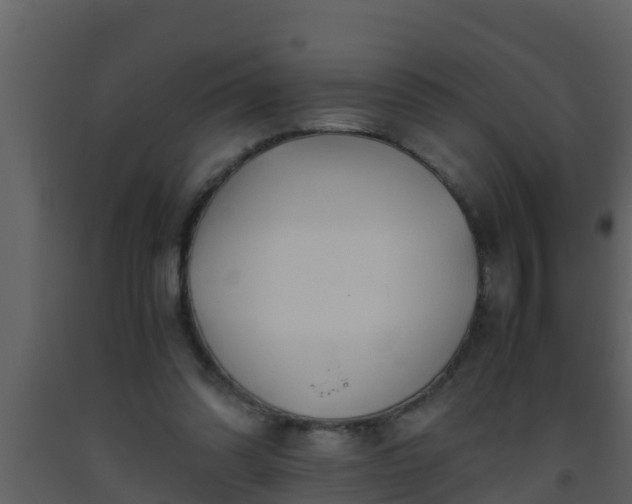 X0000093530302200710191359