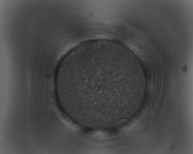 X0000093530303200710191359