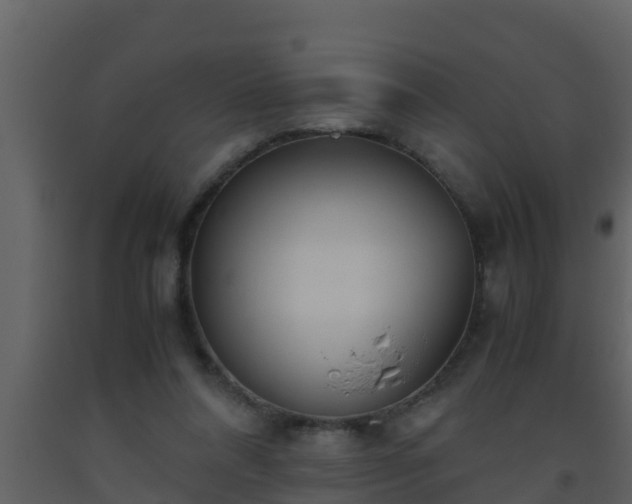 X0000093530304200710191359