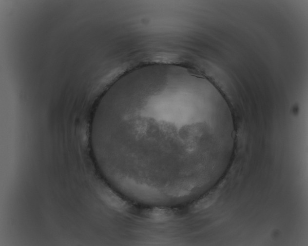 X0000093530305200710191359