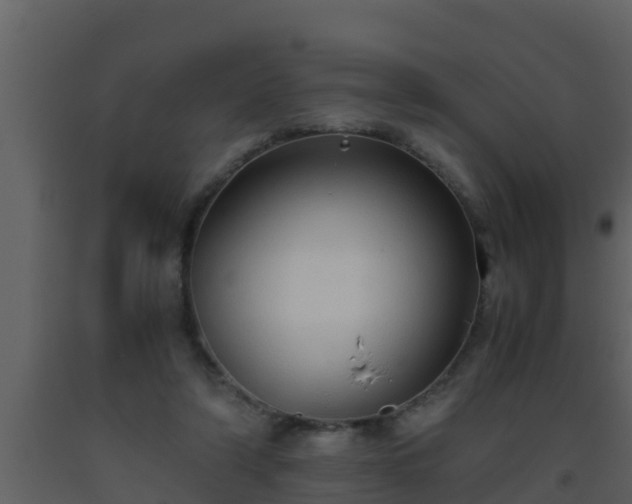 X0000093530306200710191359