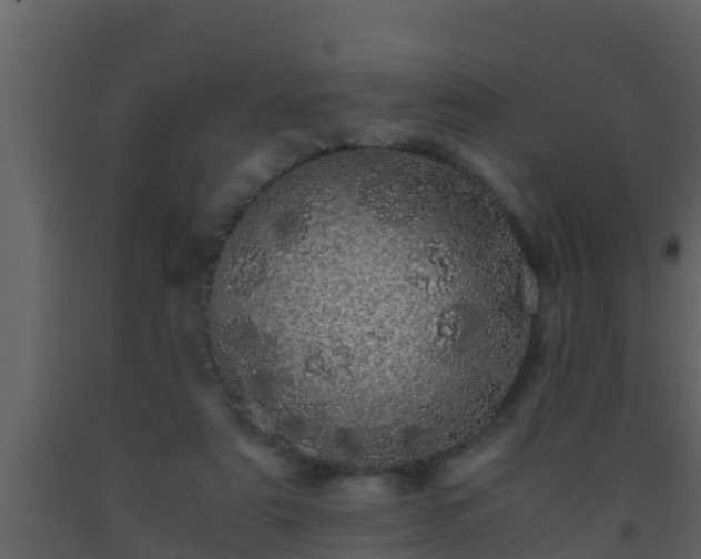 X0000093530307200710191359