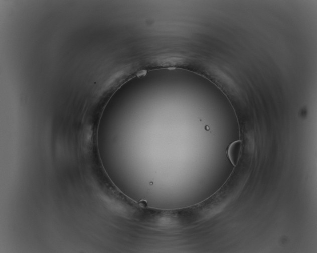 X0000093530308200710191359