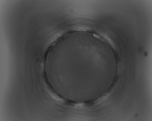 X0000093530309200710191359