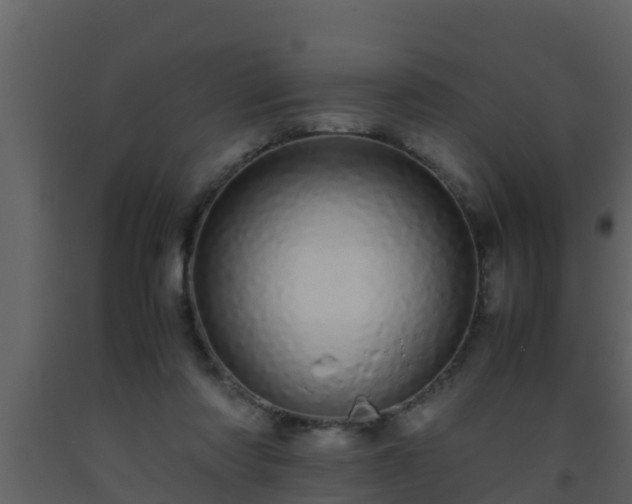 X0000093530310200710191359