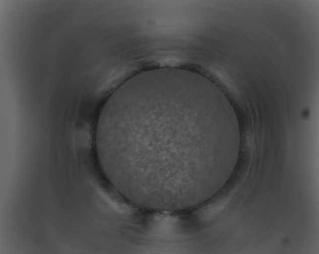 X0000093530311200710191359