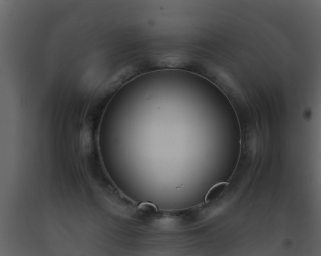 X0000093530312200710191359