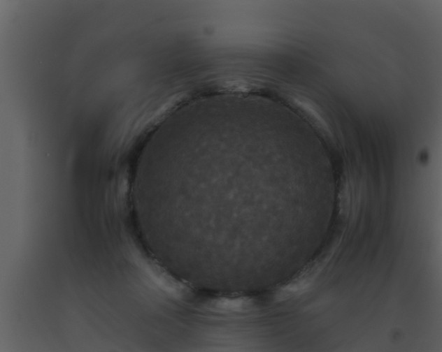 X0000093530314200710191359