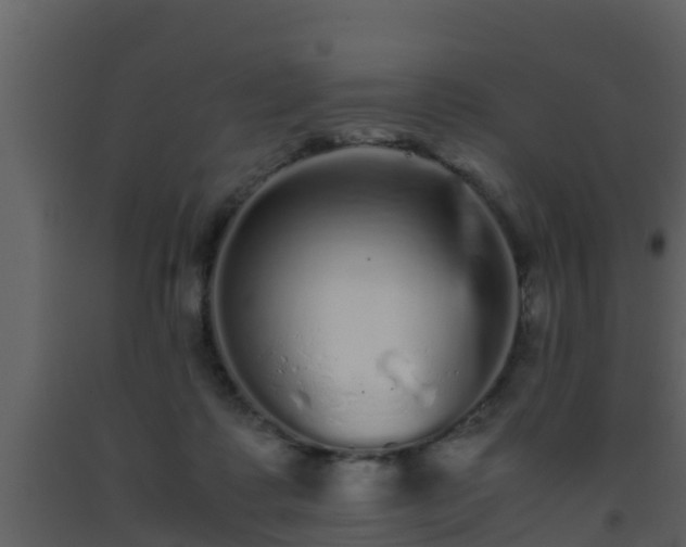 X0000093530315200710191359