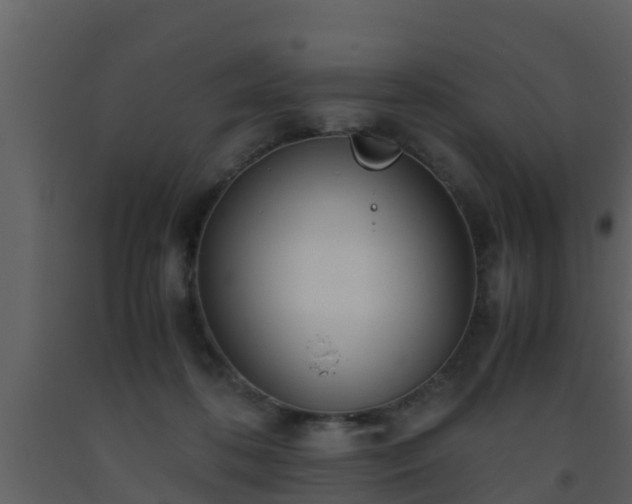 X0000093530316200710191358