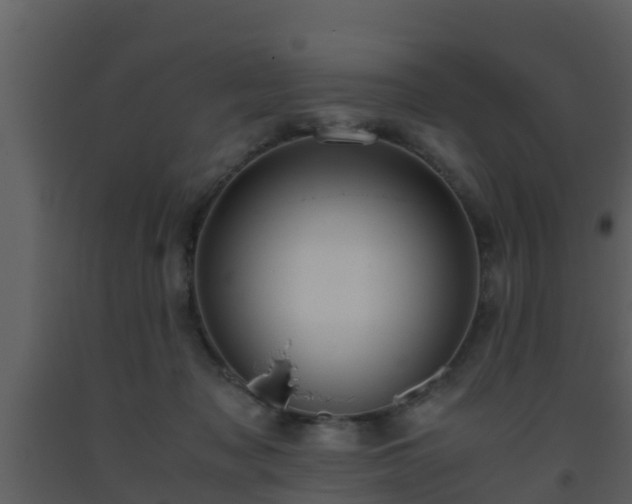 X0000093530317200710191358