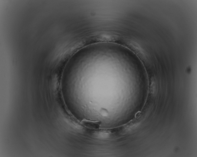 X0000093530318200710191358