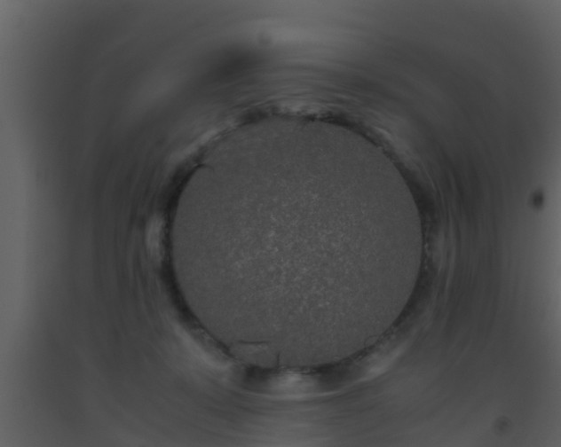 X0000093530319200710191358