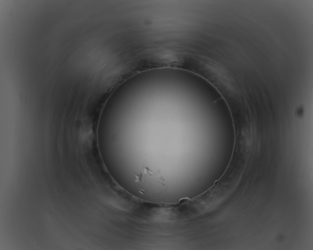 X0000093530320200710191358