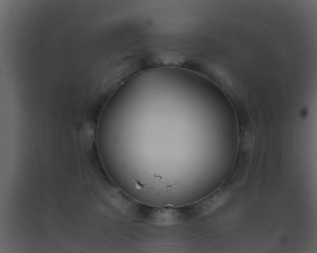 X0000093530321200710191358