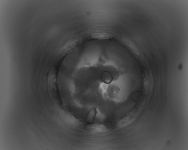 X0000093530322200710191358