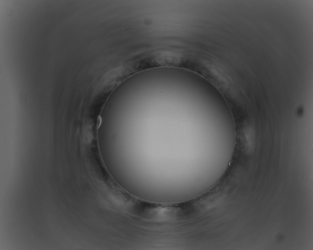 X0000093530323200710191358
