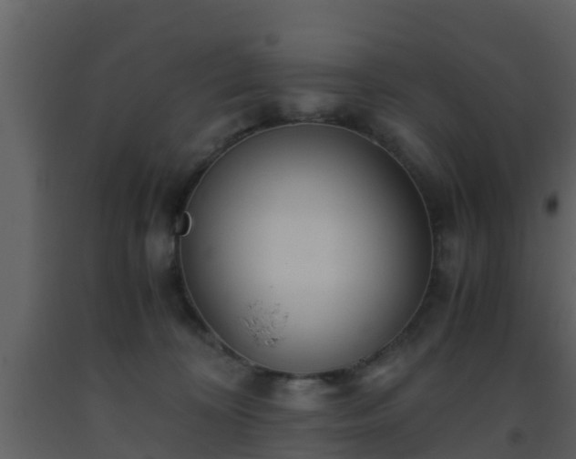 X0000093530324200710191358
