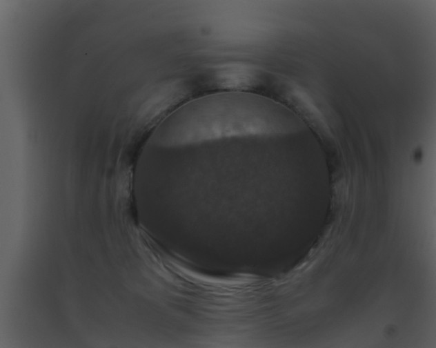 X0000093530325200710191358