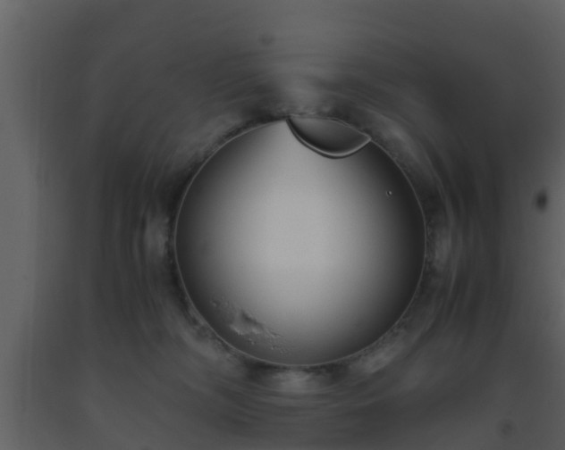 X0000093530326200710191358