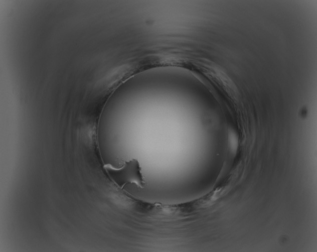 X0000093530329200710191358