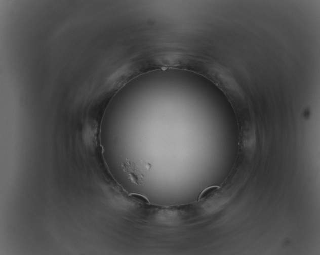 X0000093530332200710191358