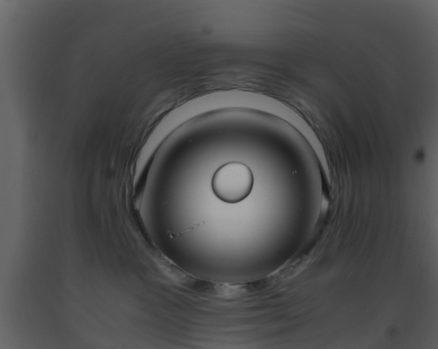 X0000093530333200710191358