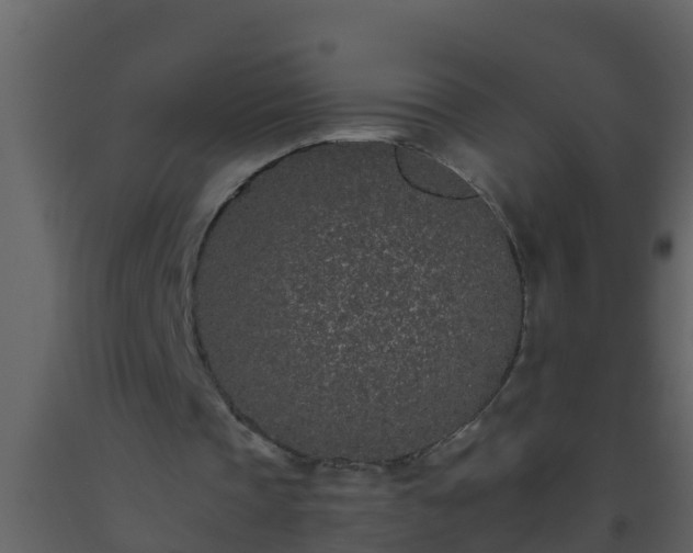 X0000093530337200710191358