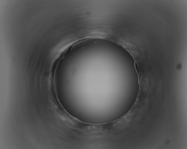 X0000093530338200710191358