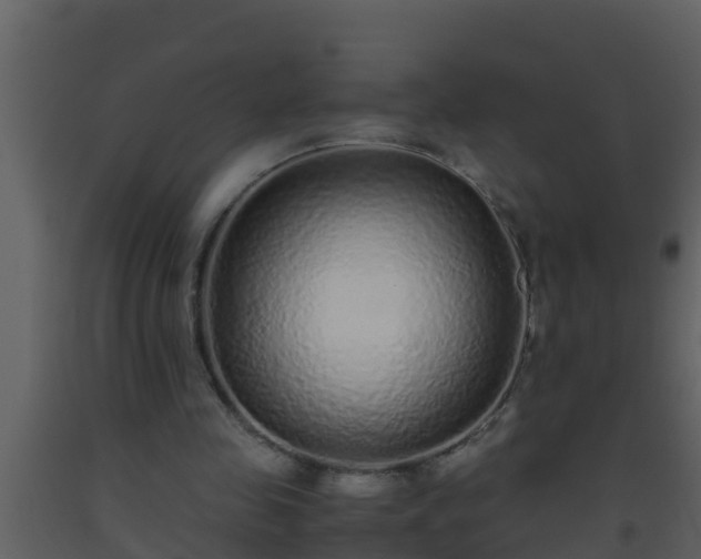 X0000093530341200710191358