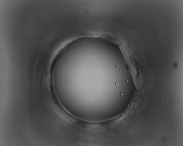 X0000093530342200710191358