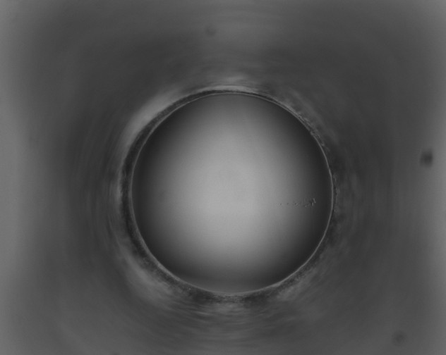 X0000093530344200710191358