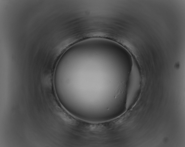 X0000093530345200710191358