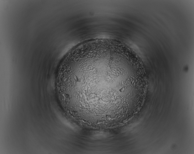 X0000093530347200710191358