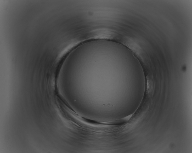 X0000093530348200710191358