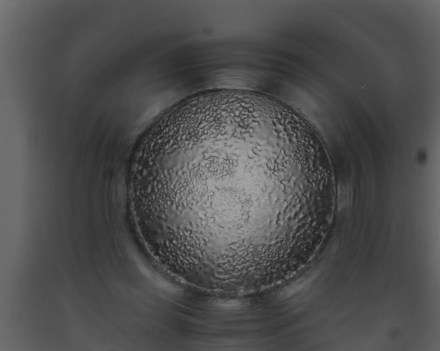 X0000093530349200710191358