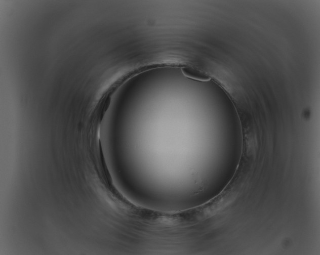 X0000093530350200710191358