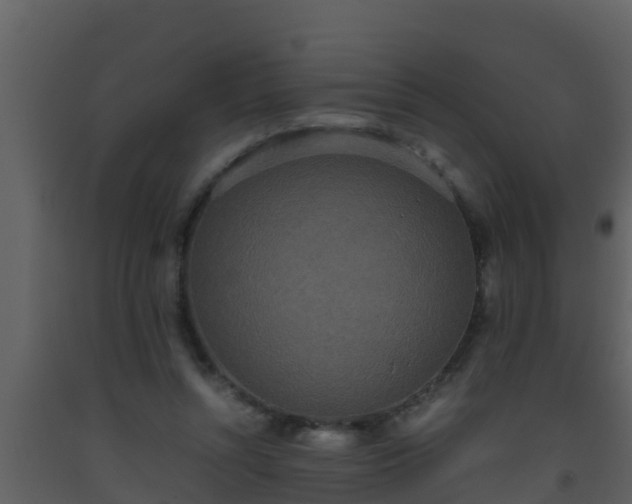 X0000093530352200710191358