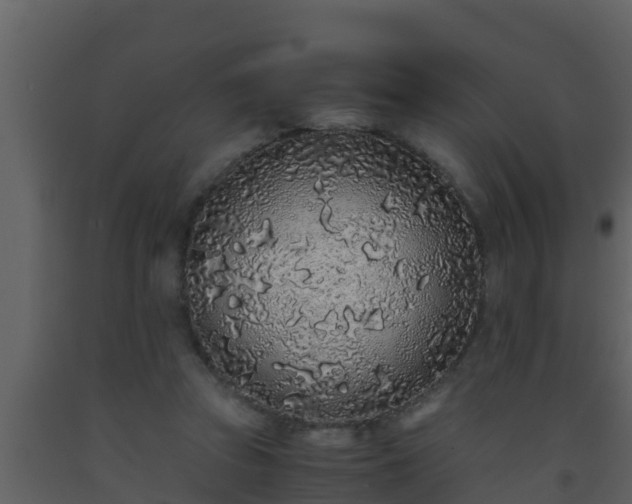X0000093530353200710191358