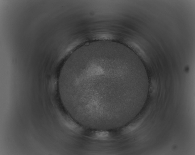 X0000093530355200710191358