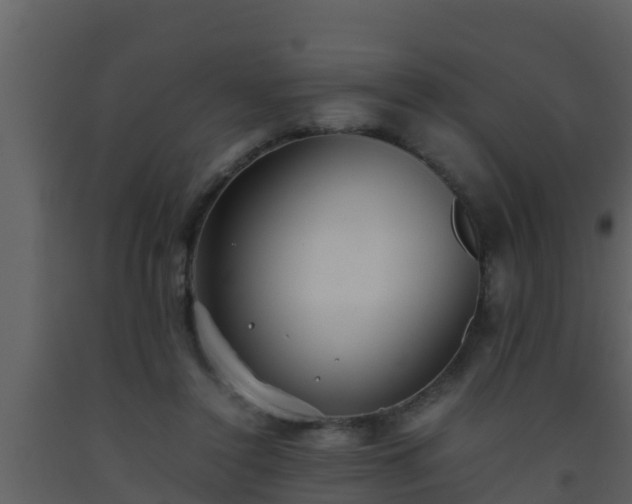 X0000093530356200710191358