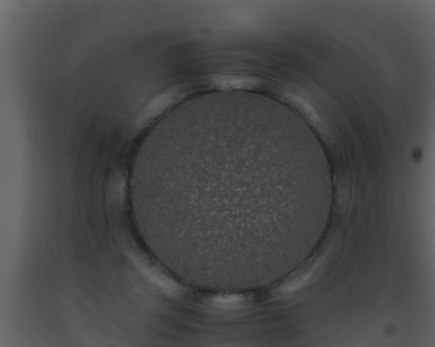 X0000093530357200710191358