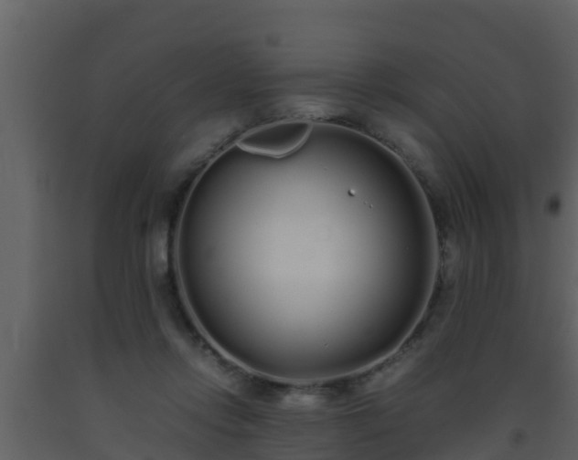 X0000093530358200710191358