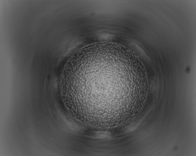 X0000093530363200710191358