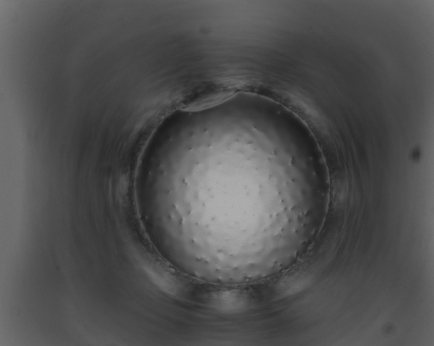 X0000093530365200710191358