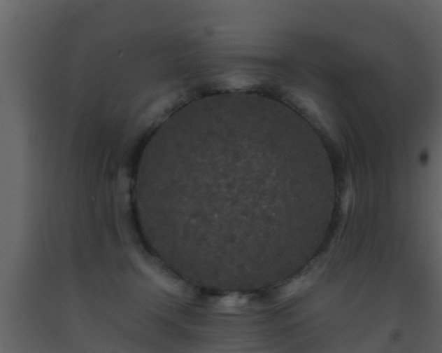 X0000093530366200710191358