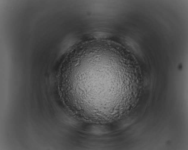 X0000093530367200710191358