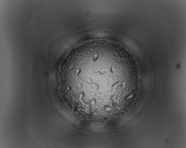 X0000093530373200710191358