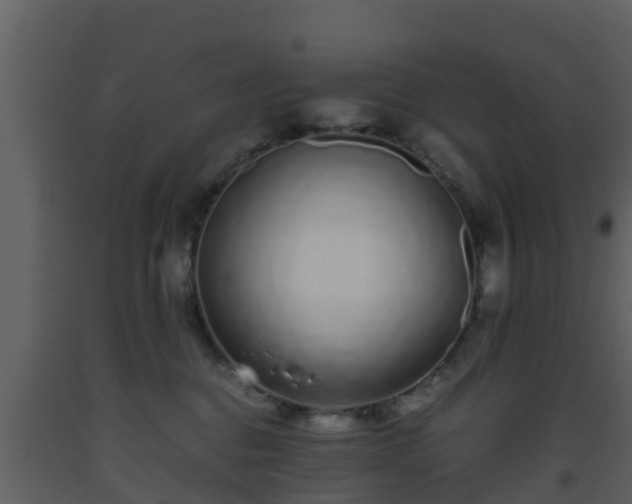 X0000093530376200710191358