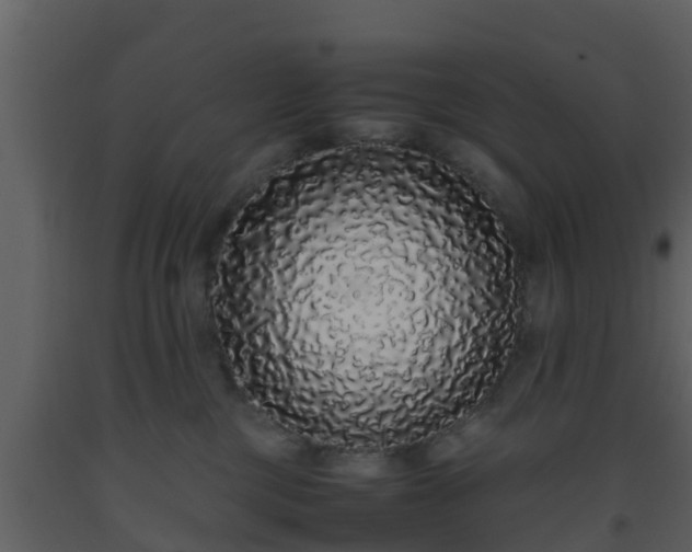 X0000093530377200710191358